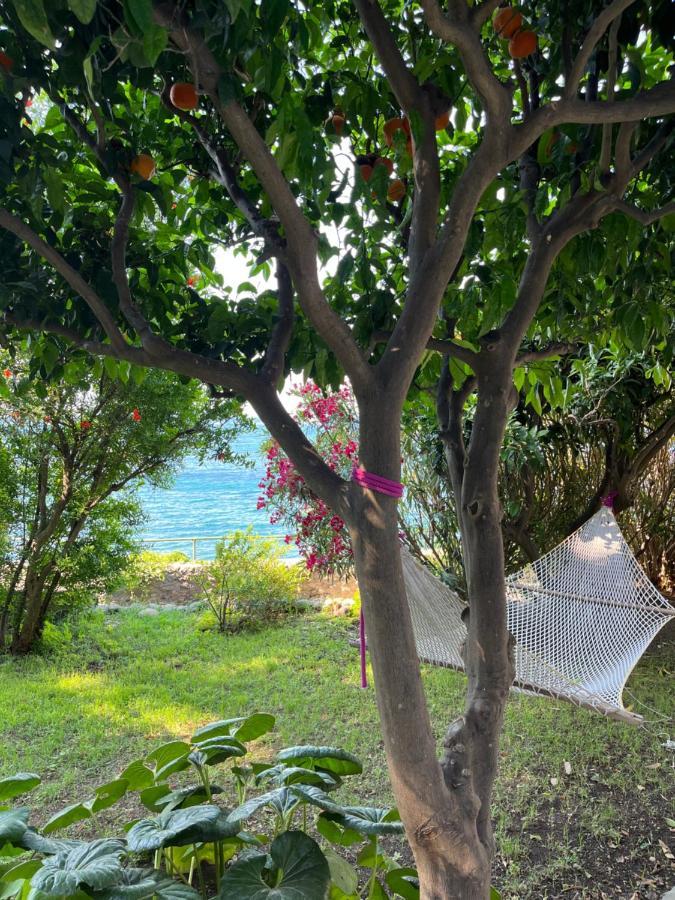 Casamicciola Terme Nelinda Waterfront Accommodation מראה חיצוני תמונה