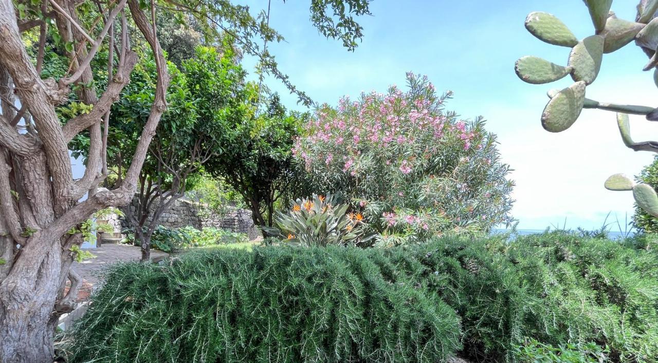 Casamicciola Terme Nelinda Waterfront Accommodation מראה חיצוני תמונה